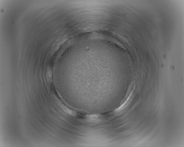 X0000076390192200610161149