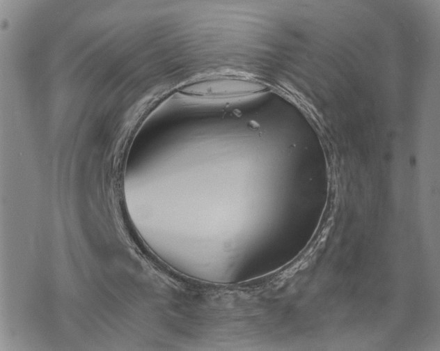 X0000076390193200610161149