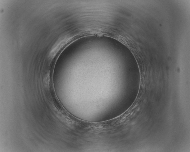 X0000076390194200610161149