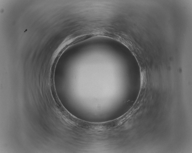 X0000076390195200610161149