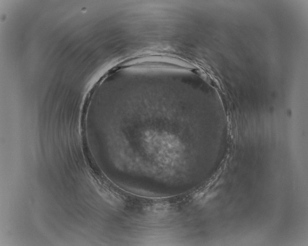 X0000076390196200610161148