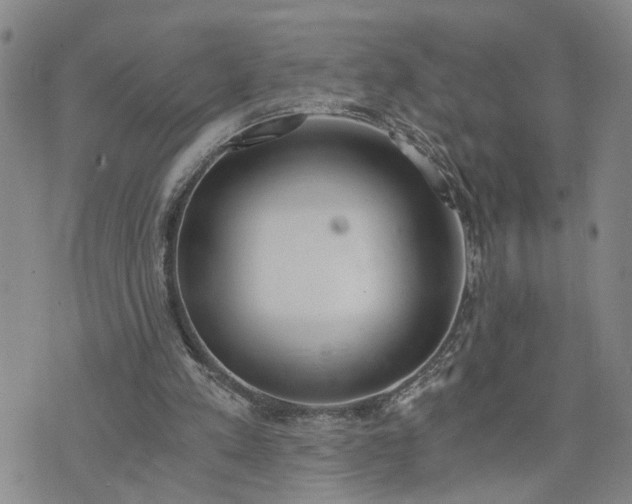 X0000076390197200610161148