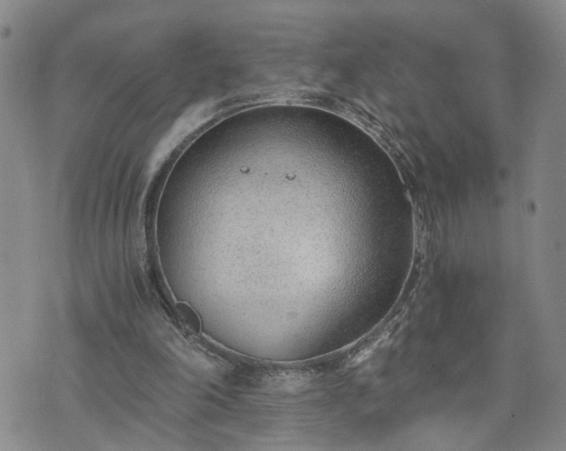 X0000076390198200610161148