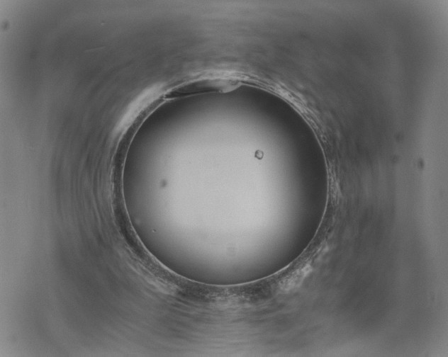 X0000076390199200610161148