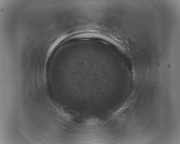 X0000076390200200610161148