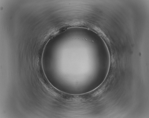 X0000076390201200610161148