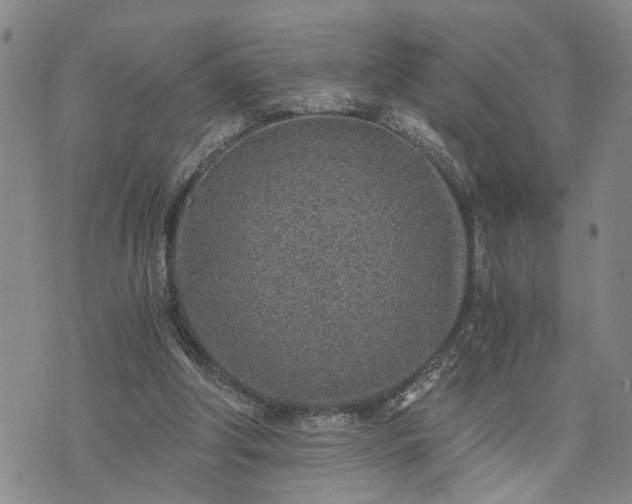 X0000076390202200610161148