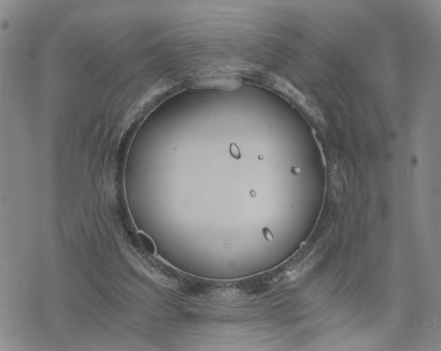 X0000076390203200610161148