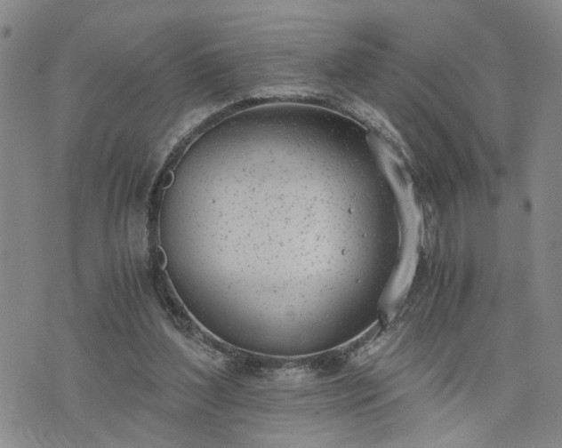 X0000076390204200610161148