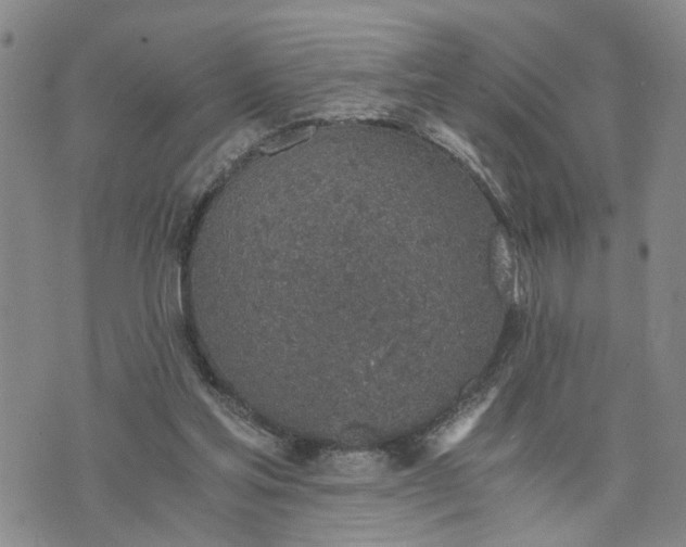 X0000076390205200610161148