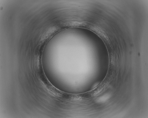 X0000076390206200610161148