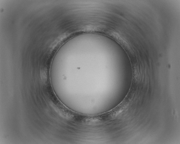 X0000076390208200610161148