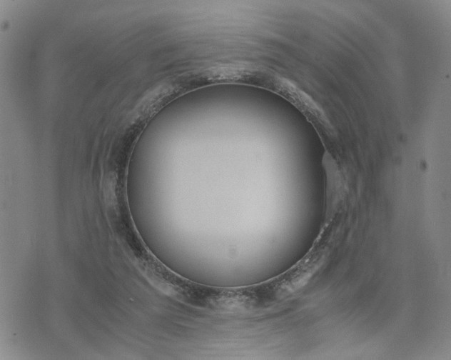 X0000076390209200610161148