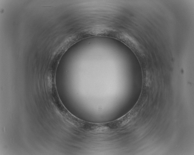 X0000076390210200610161148