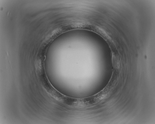 X0000076390211200610161148