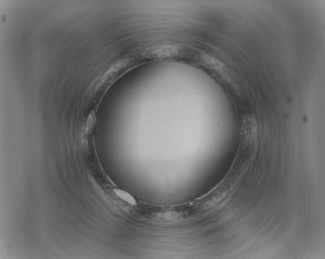 X0000076390212200610161148