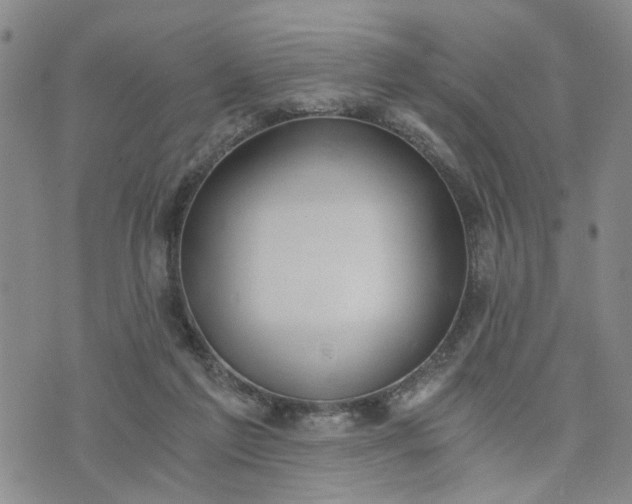 X0000076390213200610161148