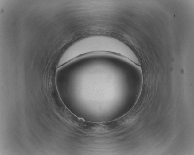 X0000076390215200610161148