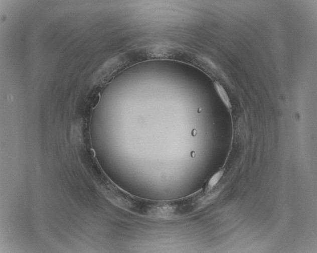 X0000076390217200610161148