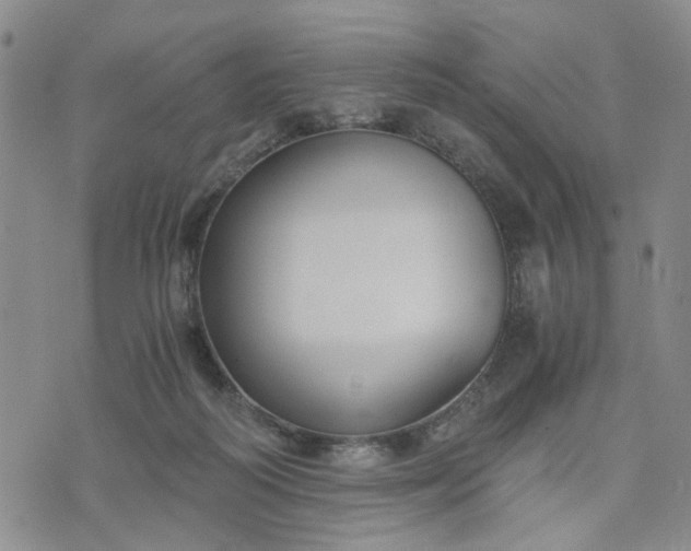 X0000076390218200610161148