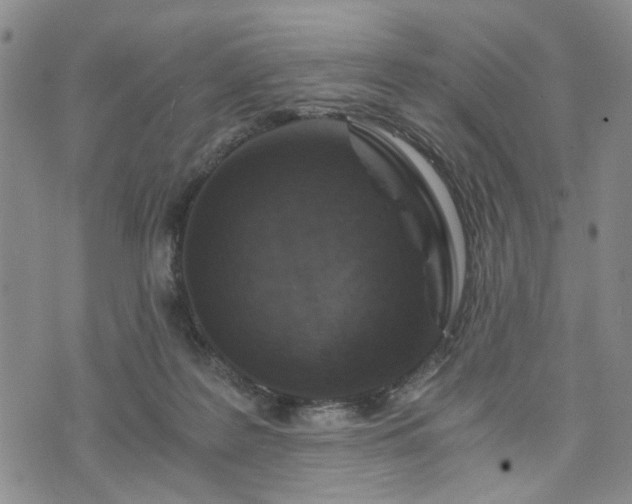 X0000076390219200610161148