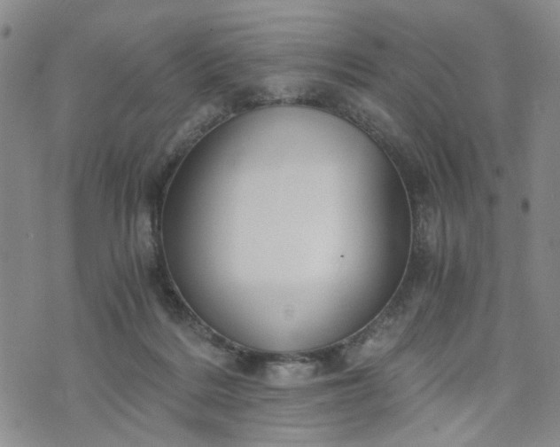 X0000076390220200610161148