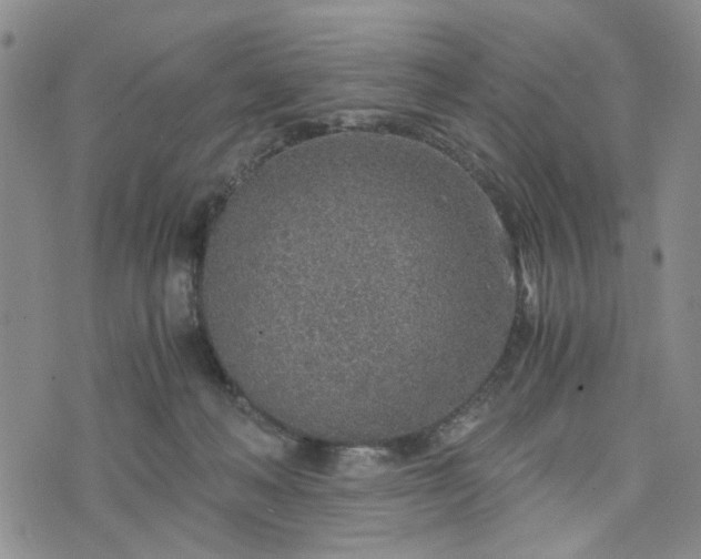 X0000076390222200610161148