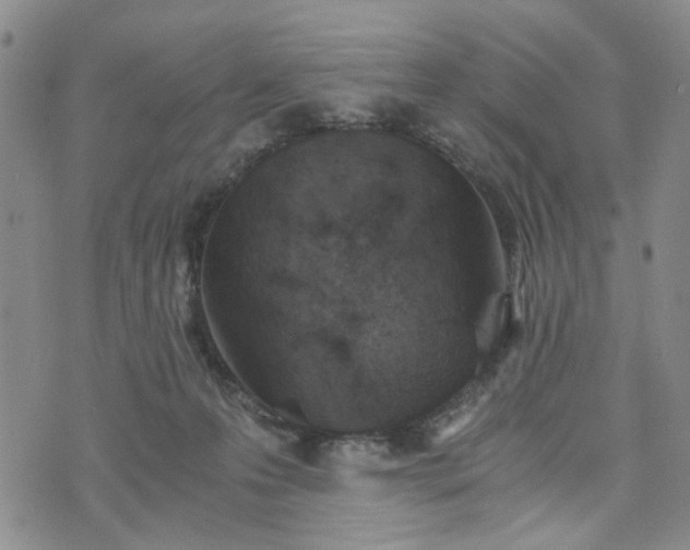 X0000076390223200610161148