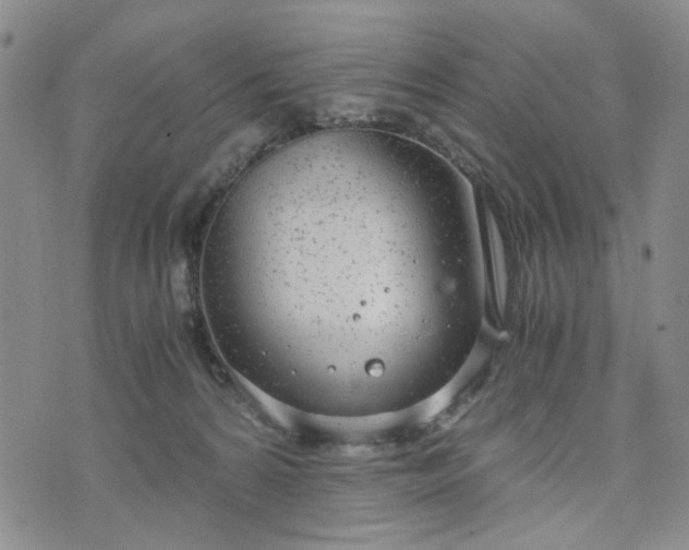 X0000076390224200610161148