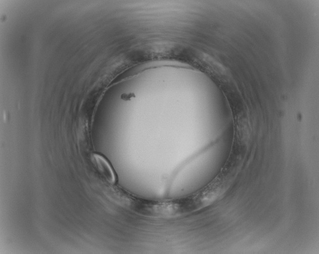 X0000076390225200610161148