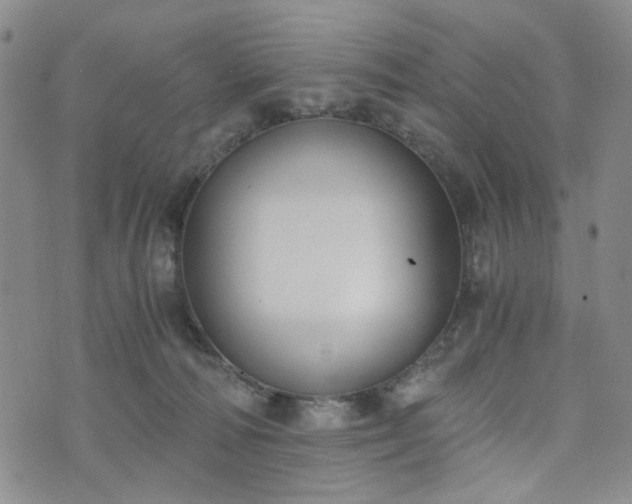 X0000076390226200610161148