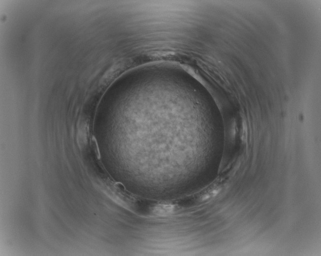 X0000076390227200610161148