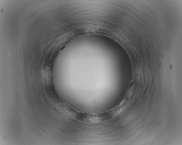 X0000076390228200610161148