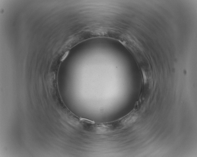 X0000076390229200610161148