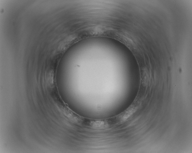 X0000076390230200610161148