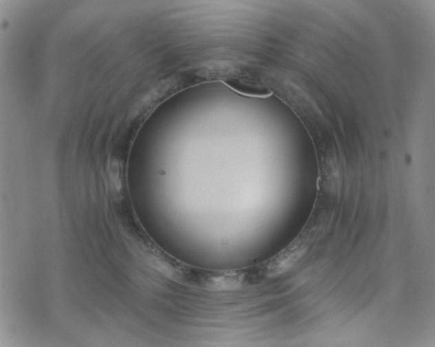 X0000076390232200610161148