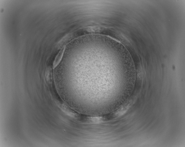 X0000076390233200610161148