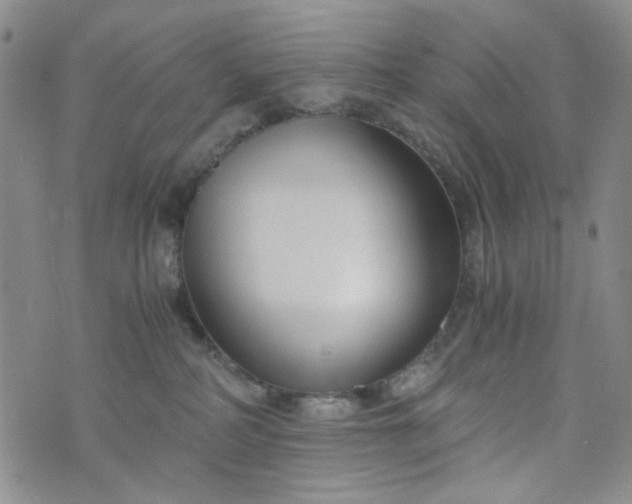 X0000076390234200610161148