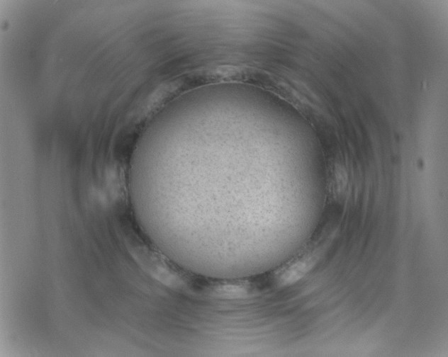 X0000076390236200610161148