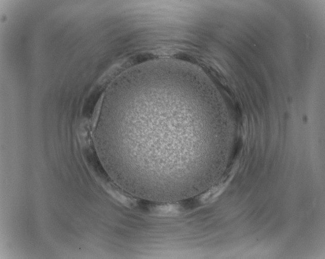 X0000076390237200610161148