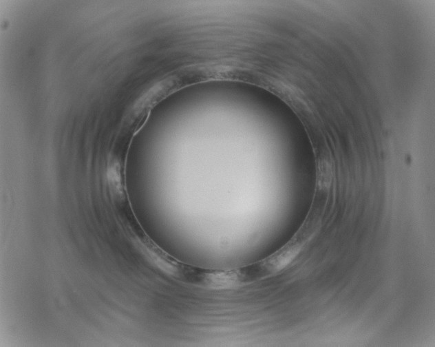 X0000076390238200610161148