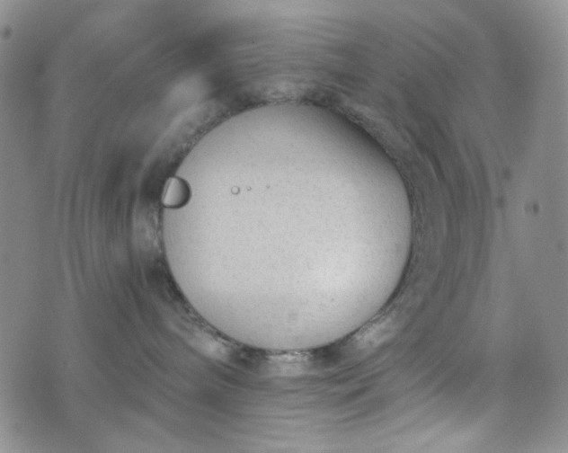 X0000076390240200610161148