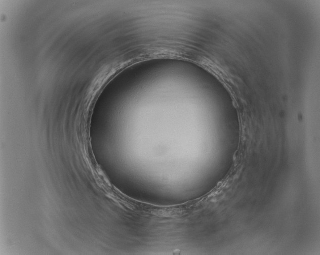 X0000076390241200610161147