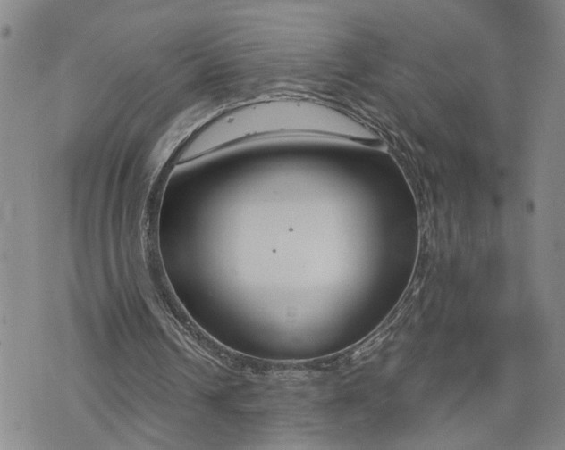 X0000076390242200610161147