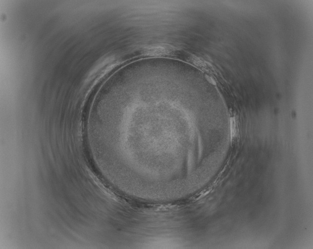 X0000076390243200610161147