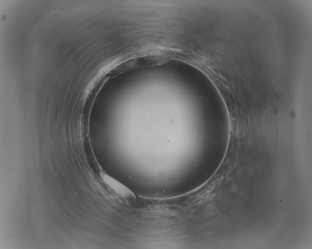 X0000076390244200610161147