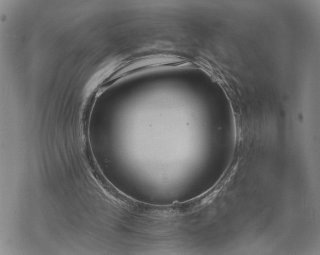 X0000076390245200610161147