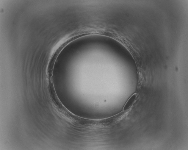 X0000076390246200610161147