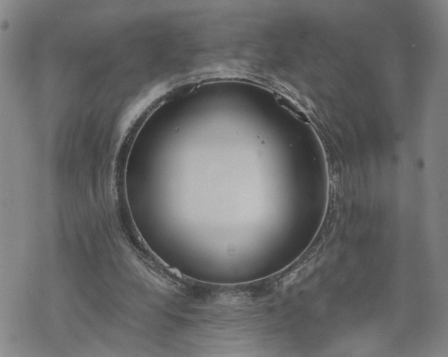 X0000076390248200610161147