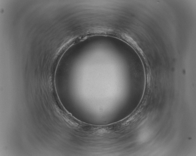 X0000076390249200610161147